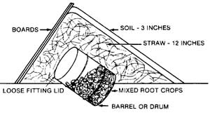 Barrel storage